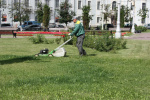 В Твери продолжаются работы по благоустройству 