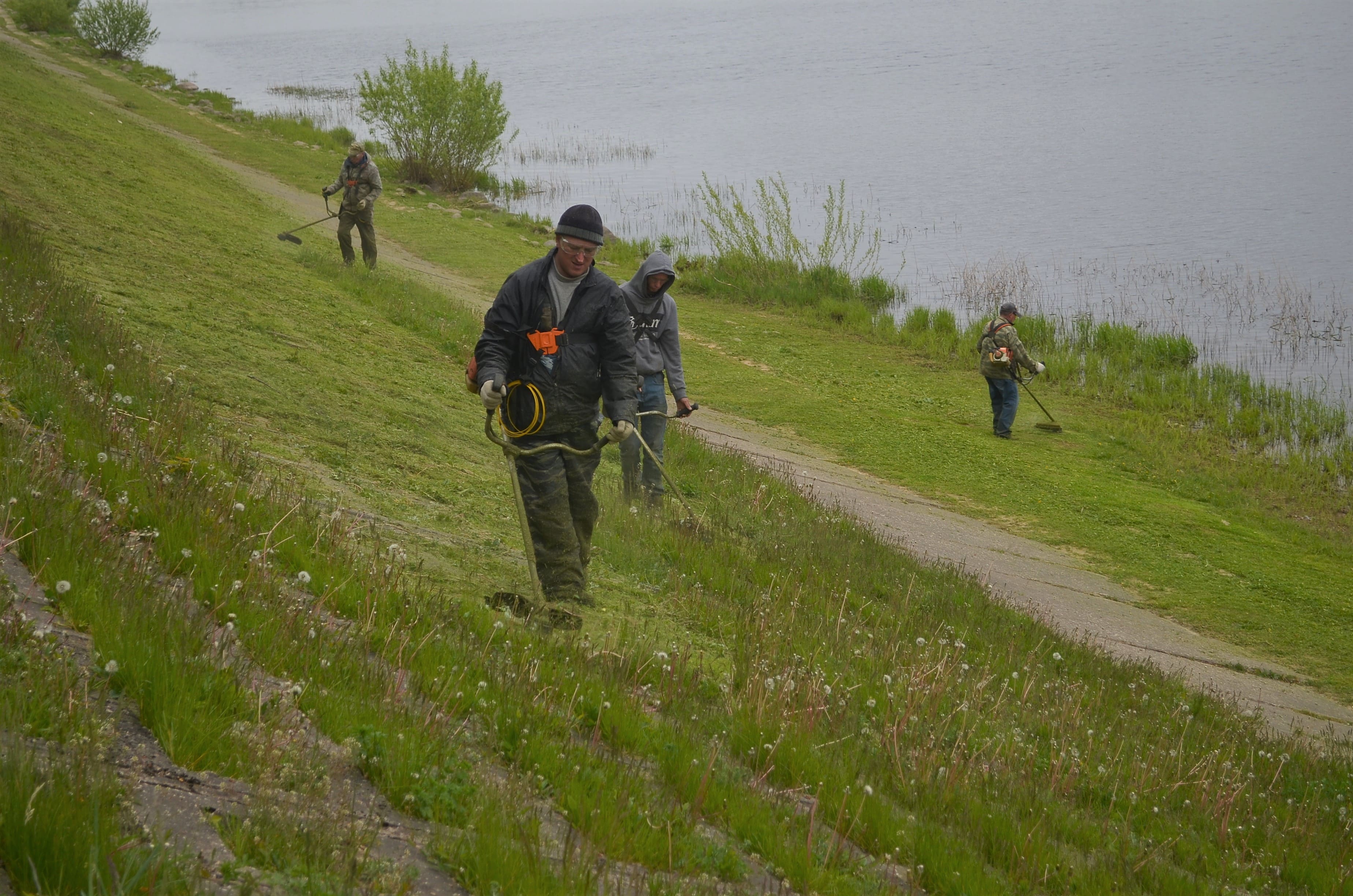 В Твери проводятся сезонные работы по озеленению и благоустройству |  24.05.2022 | Тверь - БезФормата