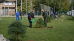 В Твери проходит Всероссийская акция «Сохраним лес»