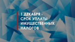 1 декабря – срок уплаты имущественных налогов